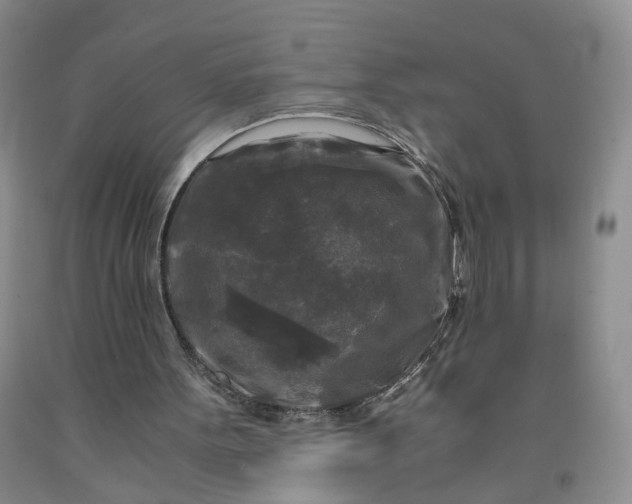 X0000091980099200709201435