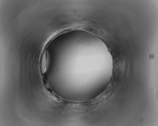 X0000091980100200709201435