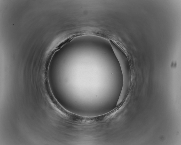 X0000091980101200709201435