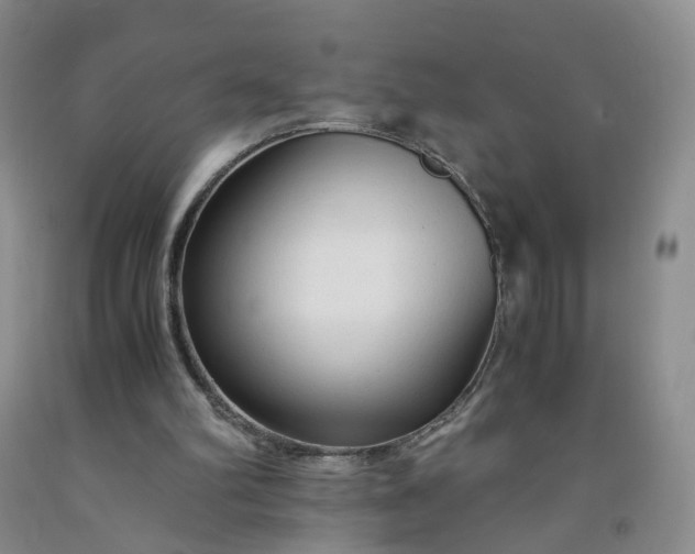 X0000091980102200709201435