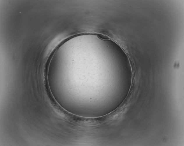 X0000091980103200709201435