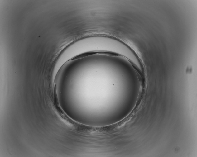 X0000091980105200709201435