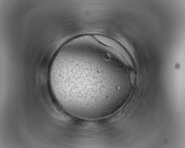 X0000091980107200709201435