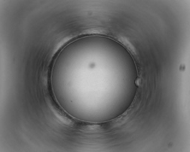 X0000091980108200709201435