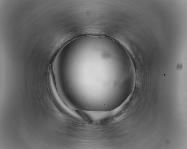 X0000091980109200709201435