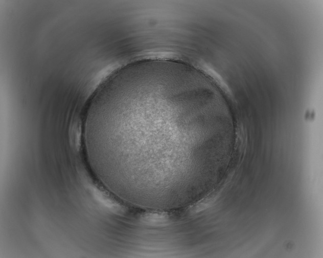 X0000091980110200709201435