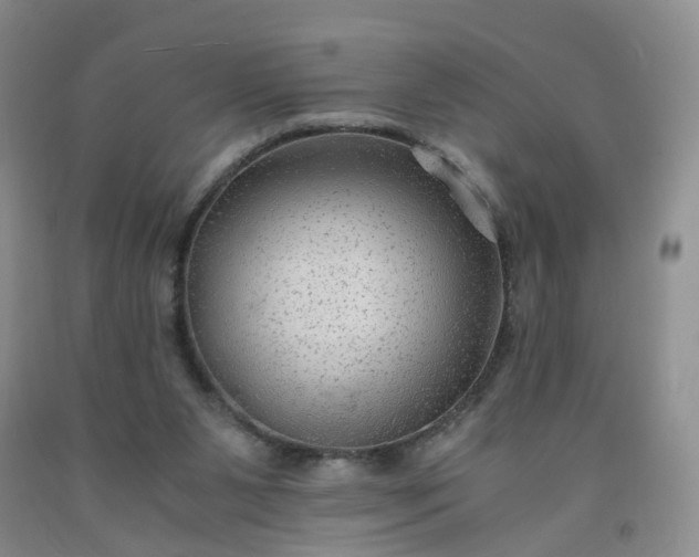 X0000091980111200709201435