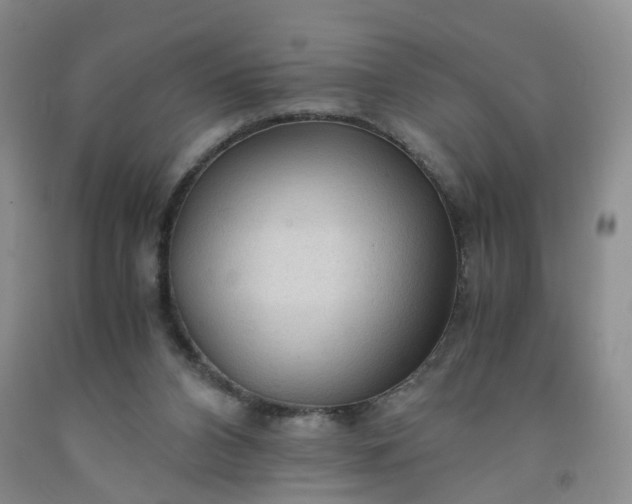 X0000091980112200709201435