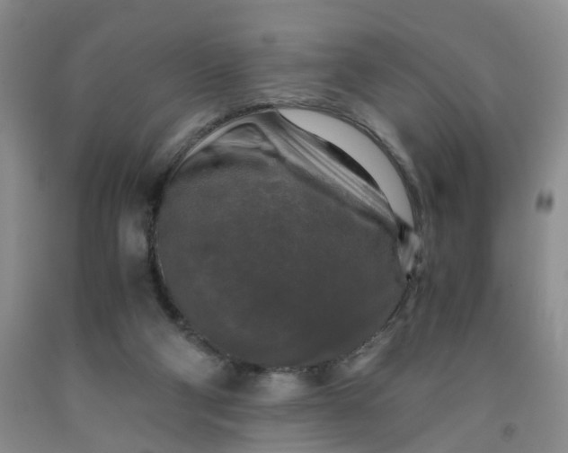 X0000091980114200709201435