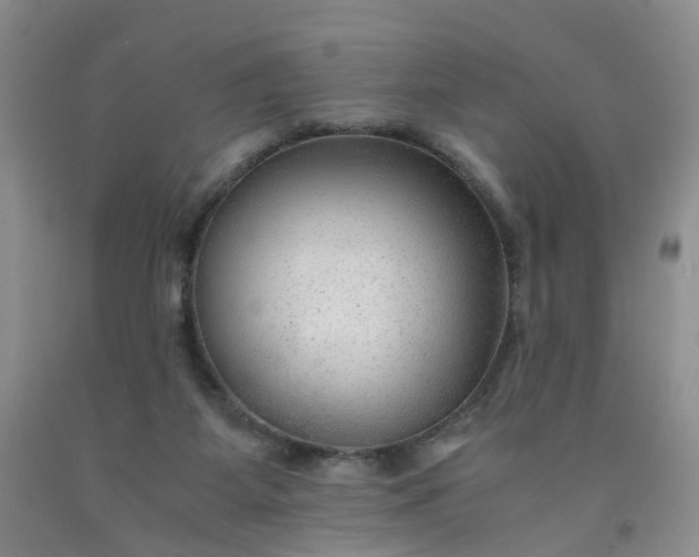 X0000091980115200709201435