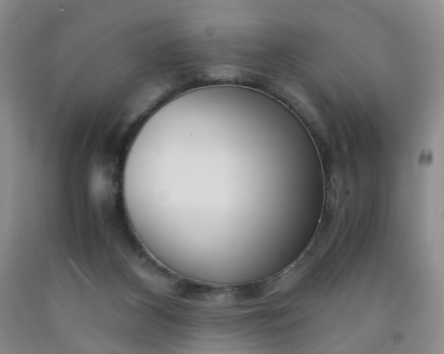 X0000091980116200709201435