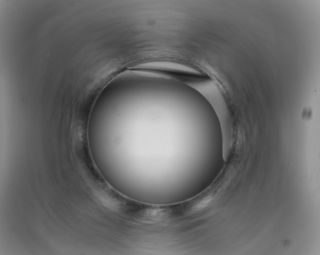 X0000091980117200709201434