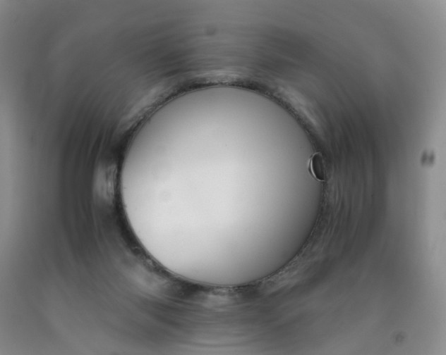 X0000091980118200709201434