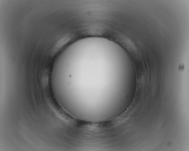 X0000091980120200709201434