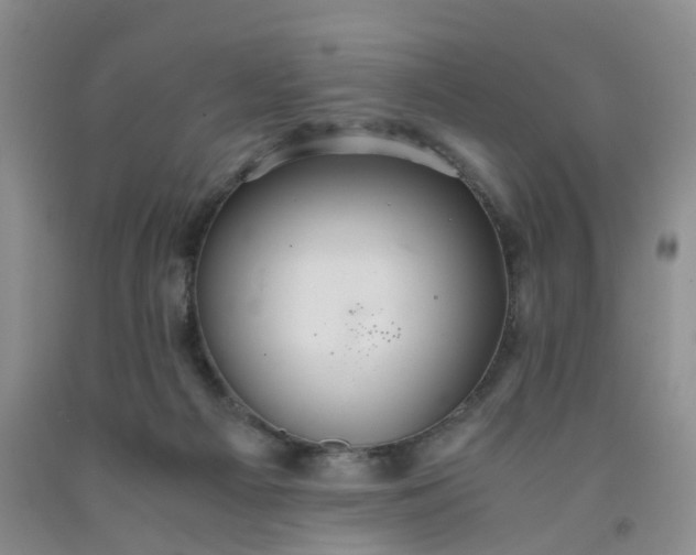 X0000091980121200709201434