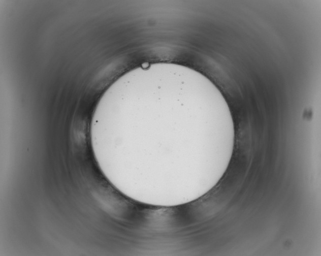 X0000091980122200709201434