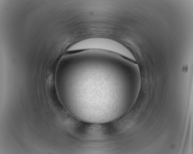 X0000091980123200709201434