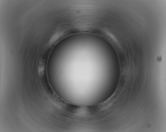 X0000091980124200709201434