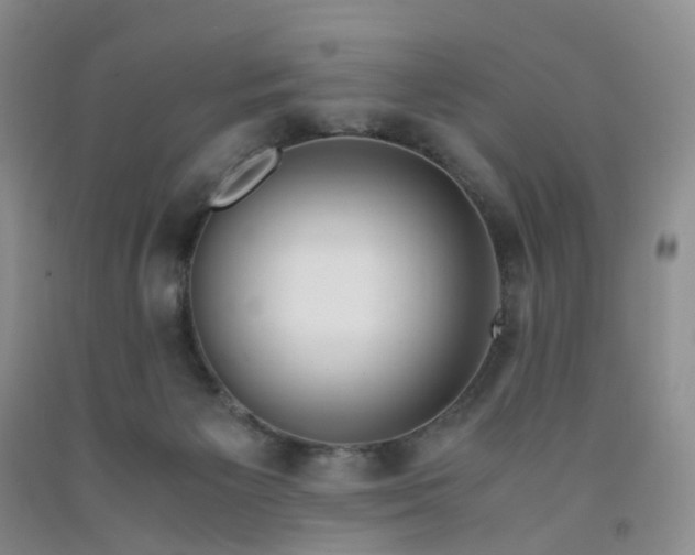 X0000091980125200709201434