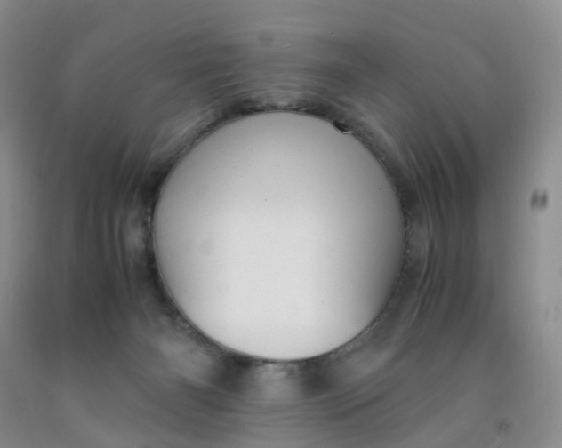 X0000091980126200709201434