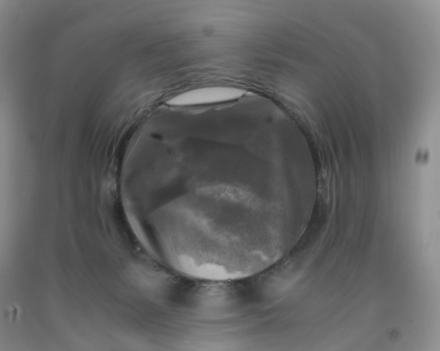 X0000091980127200709201434