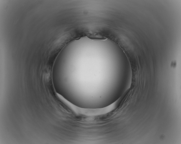 X0000091980129200709201434