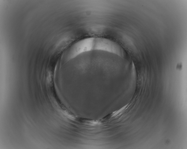 X0000091980130200709201434