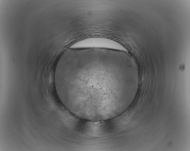 X0000091980131200709201434