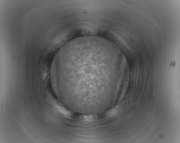 X0000091980134200709201434