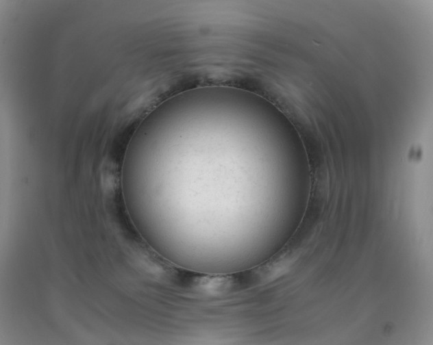 X0000091980135200709201434