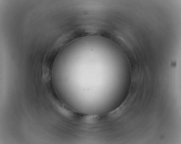 X0000091980136200709201434