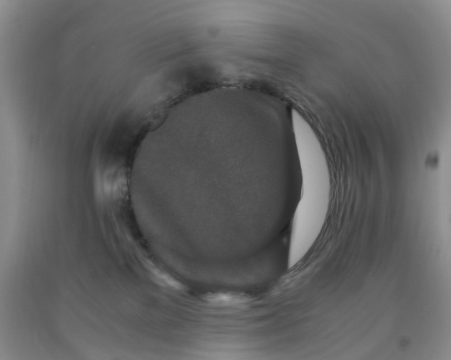 X0000091980137200709201434