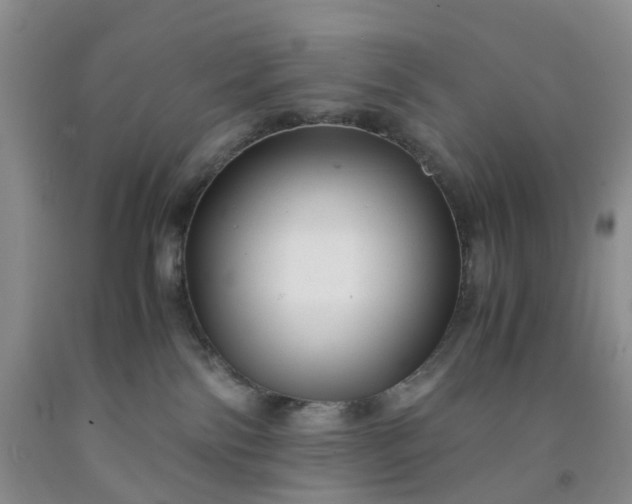 X0000091980138200709201434