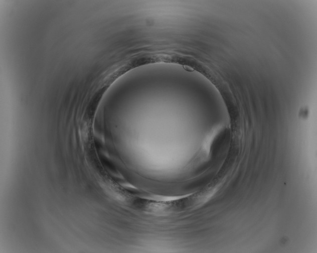 X0000091980139200709201434