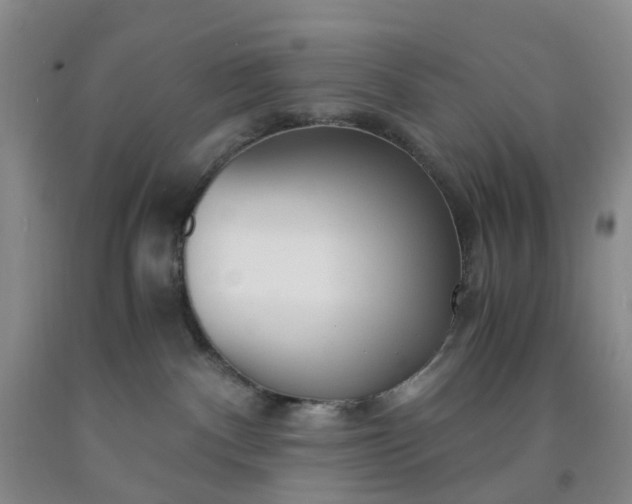 X0000091980140200709201434