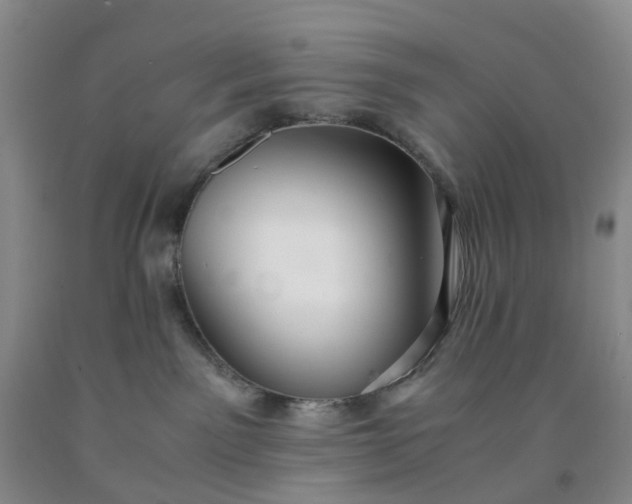 X0000091980141200709201434