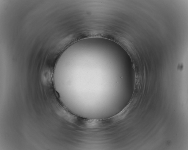 X0000091980142200709201434