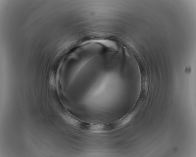 X0000091980143200709201434