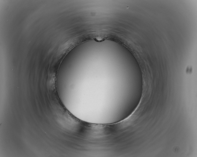 X0000091980144200709201434