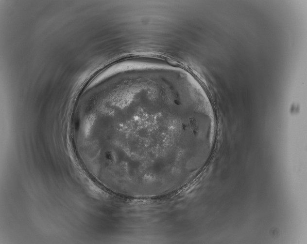 X0000091980145200709201434