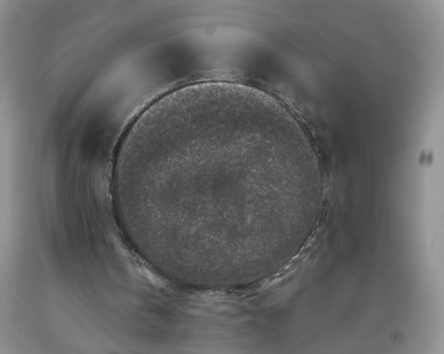 X0000091980146200709201434