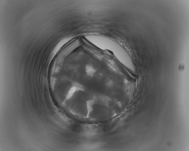 X0000091980147200709201434