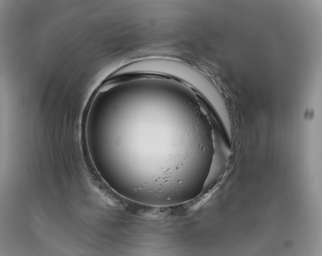 X0000091980148200709201434