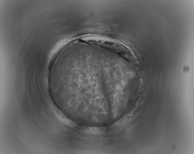 X0000091980149200709201434