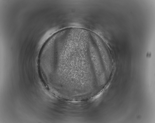 X0000091980151200709201434