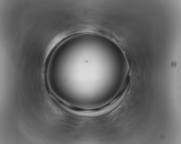 X0000091980152200709201434