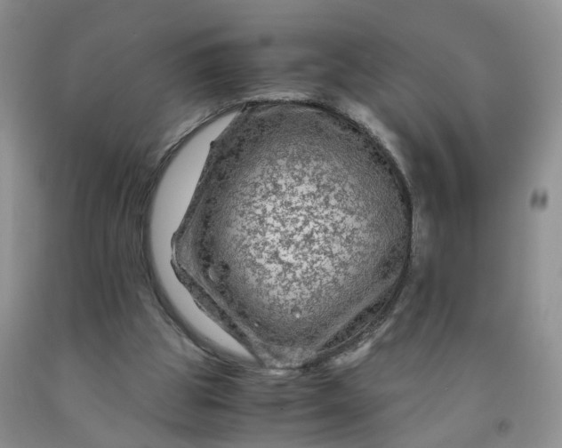 X0000091980153200709201434