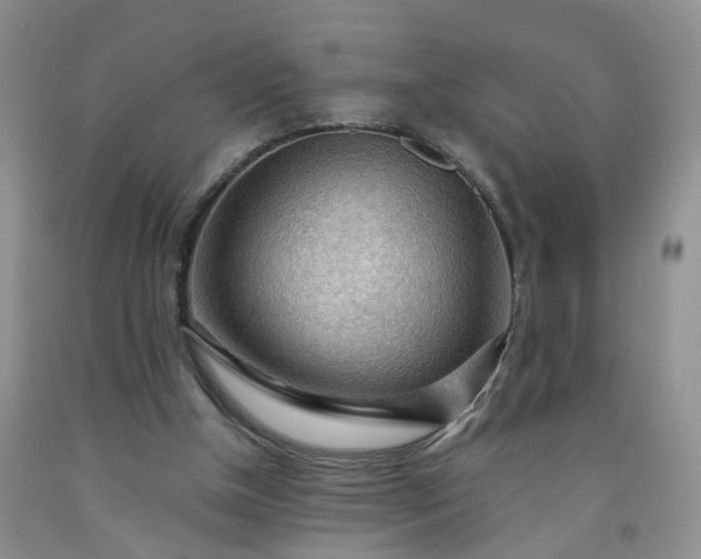 X0000091980154200709201434