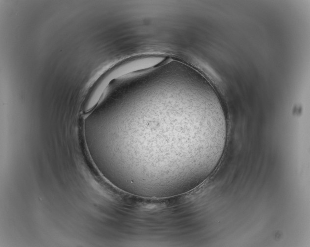 X0000091980155200709201434