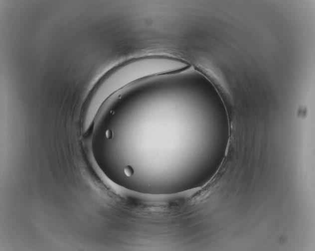 X0000091980156200709201434